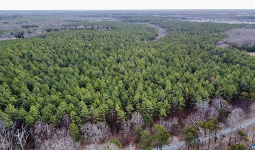 Photo #10 of GREEN SPRING RD, LOUISA, VA 246.0 acres