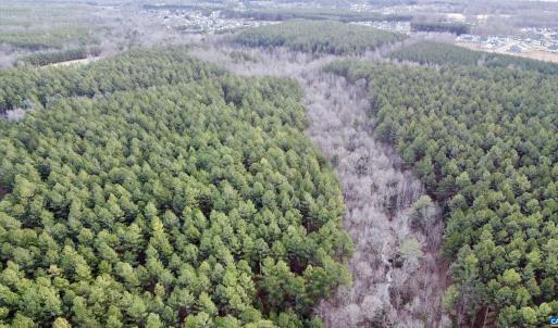 Photo #15 of GREEN SPRING RD, LOUISA, VA 246.0 acres