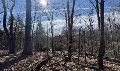 Photo #6 of Lot 28 STONE CHIMNEYS RD, NELLYSFORD, VA 1.8 acres