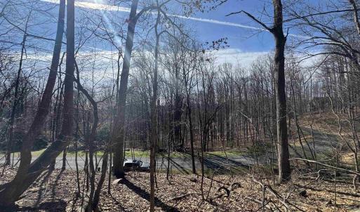 Photo #5 of Lot 28 STONE CHIMNEYS RD, NELLYSFORD, VA 1.8 acres