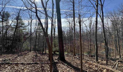 Photo #7 of Lot 28 STONE CHIMNEYS RD, NELLYSFORD, VA 1.8 acres