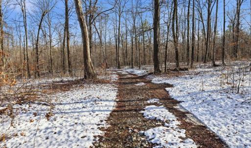 Photo #13 of JUSTICE DR, GORDONSVILLE, VA 31.2 acres