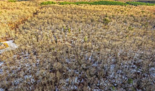 Photo #6 of JUSTICE DR, GORDONSVILLE, VA 31.2 acres