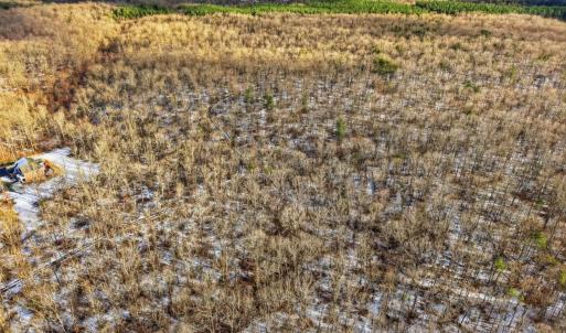 Photo #5 of JUSTICE DR, GORDONSVILLE, VA 31.2 acres