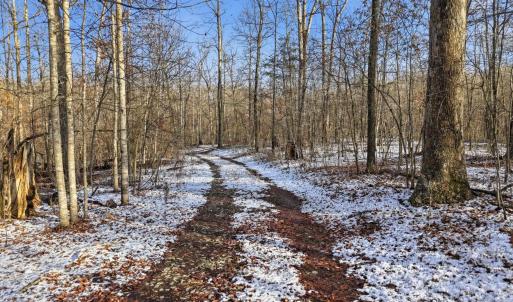 Photo #12 of JUSTICE DR, GORDONSVILLE, VA 31.2 acres