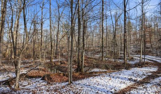 Photo #3 of JUSTICE DR, GORDONSVILLE, VA 31.2 acres