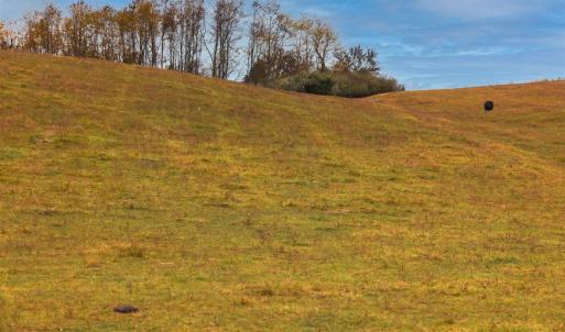 Photo #28 of TBD OLD B AND O RD, RAPHINE, VA 67.6 acres