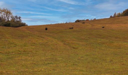 Photo #27 of TBD OLD B AND O RD, RAPHINE, VA 67.6 acres