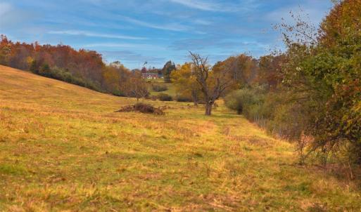 Photo #23 of TBD OLD B AND O RD, RAPHINE, VA 67.6 acres