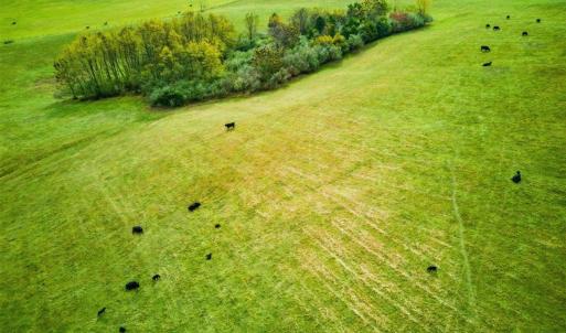 Photo #9 of TBD OLD B AND O RD, RAPHINE, VA 67.6 acres