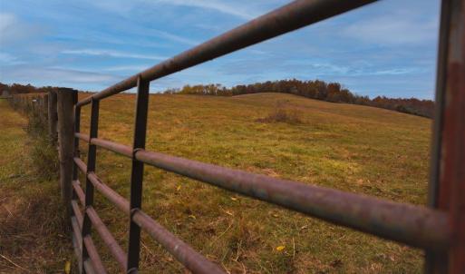 Photo #34 of TBD OLD B AND O RD, RAPHINE, VA 67.6 acres