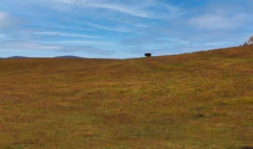 Photo #32 of TBD OLD B AND O RD, RAPHINE, VA 67.6 acres