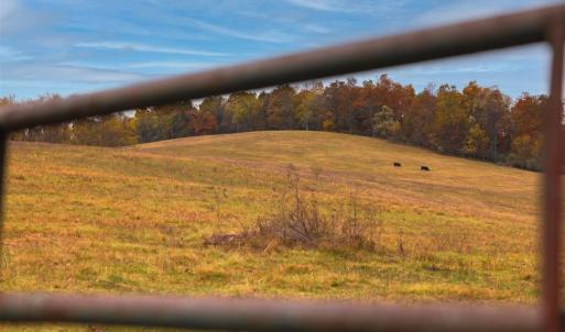 Photo #21 of TBD OLD B AND O RD, RAPHINE, VA 67.6 acres