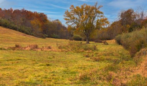 Photo #29 of TBD OLD B AND O RD, RAPHINE, VA 67.6 acres