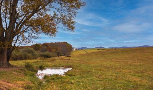 Photo #30 of TBD OLD B AND O RD, RAPHINE, VA 67.6 acres