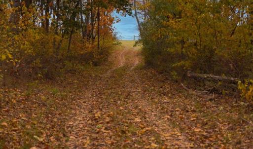 Photo #13 of TBD OLD B AND O RD, RAPHINE, VA 67.6 acres