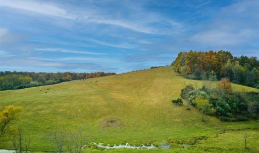 Photo #3 of TBD OLD B AND O RD, RAPHINE, VA 67.6 acres