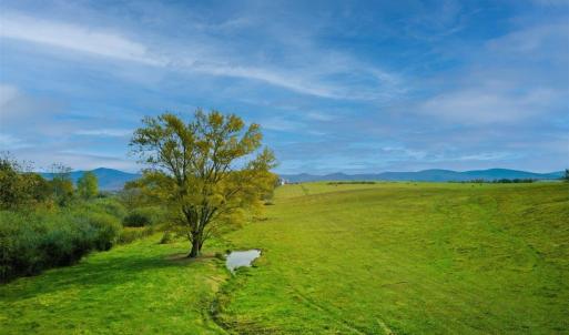 Photo #5 of TBD OLD B AND O RD, RAPHINE, VA 67.6 acres