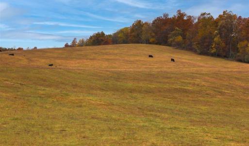 Photo #26 of TBD OLD B AND O RD, RAPHINE, VA 67.6 acres