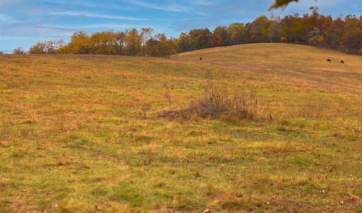 Photo #22 of TBD OLD B AND O RD, RAPHINE, VA 67.6 acres