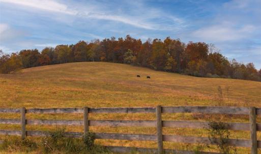 Photo #20 of TBD OLD B AND O RD, RAPHINE, VA 67.6 acres