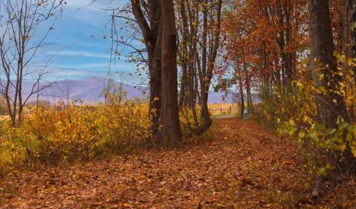 Photo #33 of TBD OLD B AND O RD, RAPHINE, VA 67.6 acres