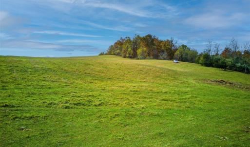 Photo #11 of TBD OLD B AND O RD, RAPHINE, VA 67.6 acres