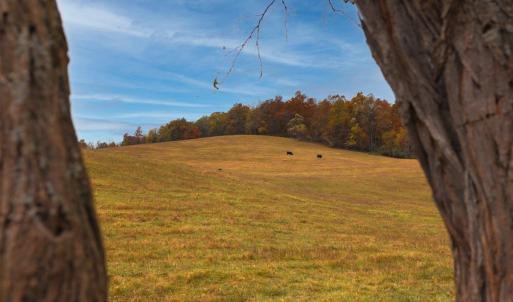 Photo #25 of TBD OLD B AND O RD, RAPHINE, VA 67.6 acres