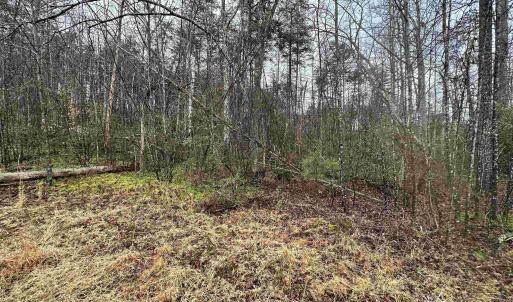 Photo #15 of ELLY RD, ARODA, VA 10.0 acres