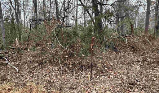 Photo #5 of ELLY RD, ARODA, VA 10.0 acres