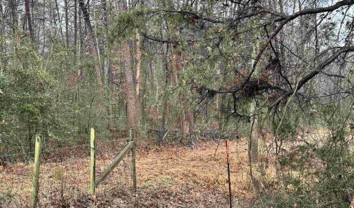 Property starts here.