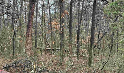Photo #11 of ELLY RD, ARODA, VA 10.0 acres