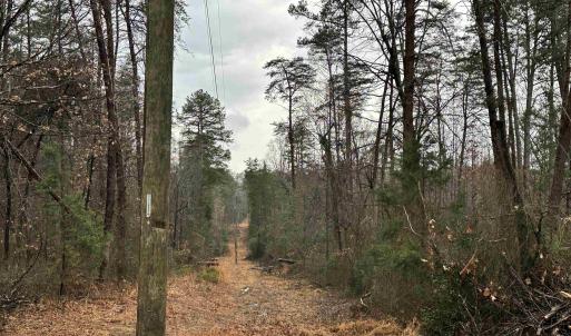 Running along edge of lot. Property is to the left.