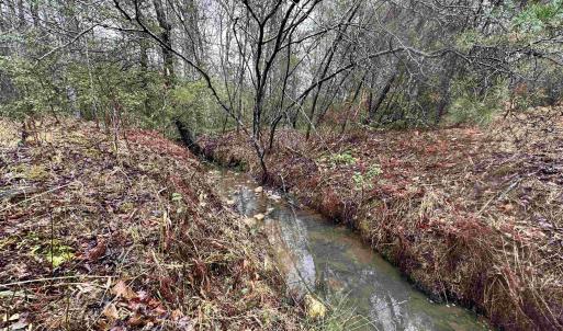 Photo #33 of ELLY RD, ARODA, VA 10.0 acres