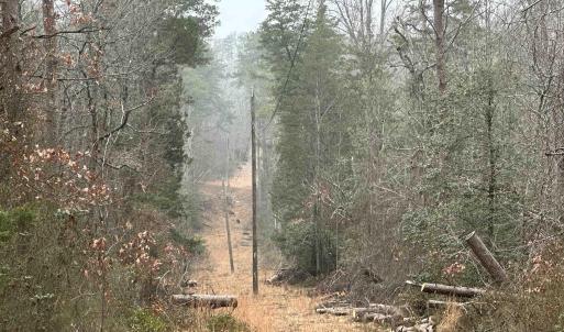Photo #6 of ELLY RD, ARODA, VA 10.0 acres