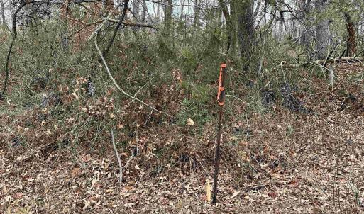 Photo #8 of ELLY RD, ARODA, VA 10.0 acres