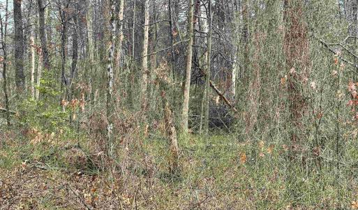 Photo #13 of ELLY RD, ARODA, VA 10.0 acres