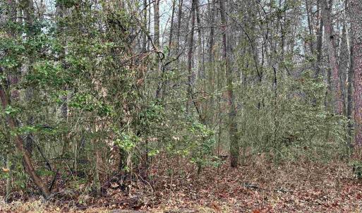 Photo #11 of ELLY RD, ARODA, VA 10.0 acres