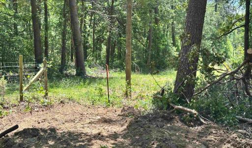 Property starts here.