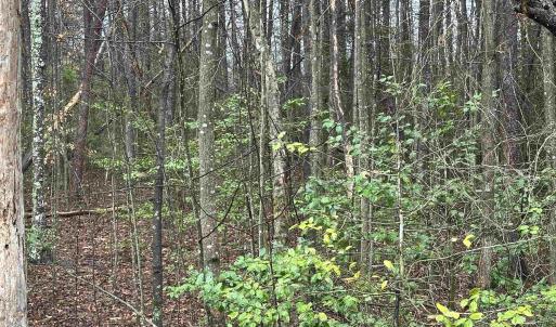 Photo #15 of ELLY RD, ARODA, VA 10.0 acres