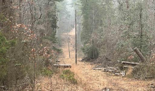 Photo #5 of ELLY RD, ARODA, VA 10.0 acres