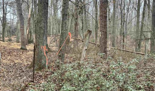 Photo #4 of ELLY RD, ARODA, VA 10.0 acres