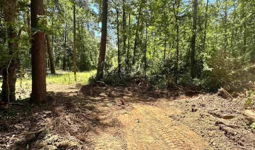Photo #19 of ELLY RD, ARODA, VA 10.0 acres
