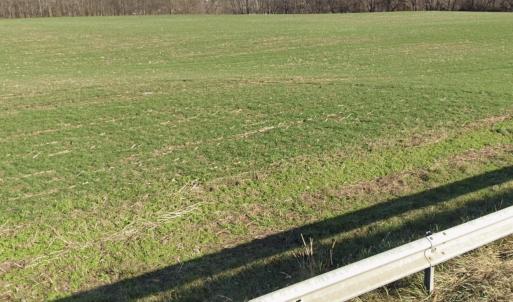 Photo #3 of NEW MARKET RD, TIMBERVILLE, VA 17.8 acres