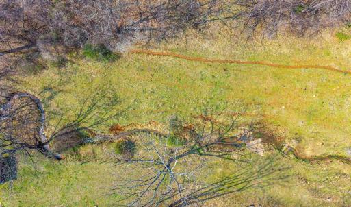 Photo #14 of PUPPY CREEK RD, AMHERST, VA 24.3 acres