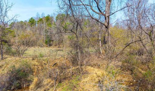 Photo #2 of PUPPY CREEK RD, AMHERST, VA 24.3 acres
