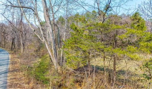 Photo #4 of PUPPY CREEK RD, AMHERST, VA 24.3 acres