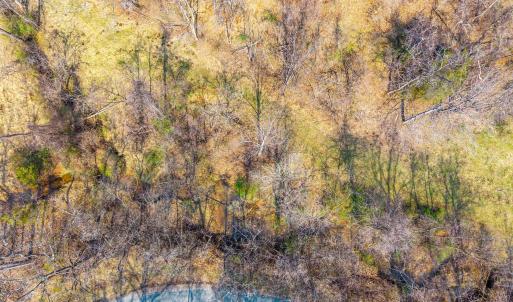 Photo #12 of PUPPY CREEK RD, AMHERST, VA 24.3 acres