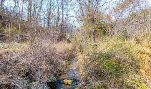 Photo #3 of PUPPY CREEK RD, AMHERST, VA 24.3 acres