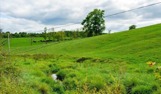 Photo #10 of TBD KNUPP RD, TIMBERVILLE, VA 6.1 acres